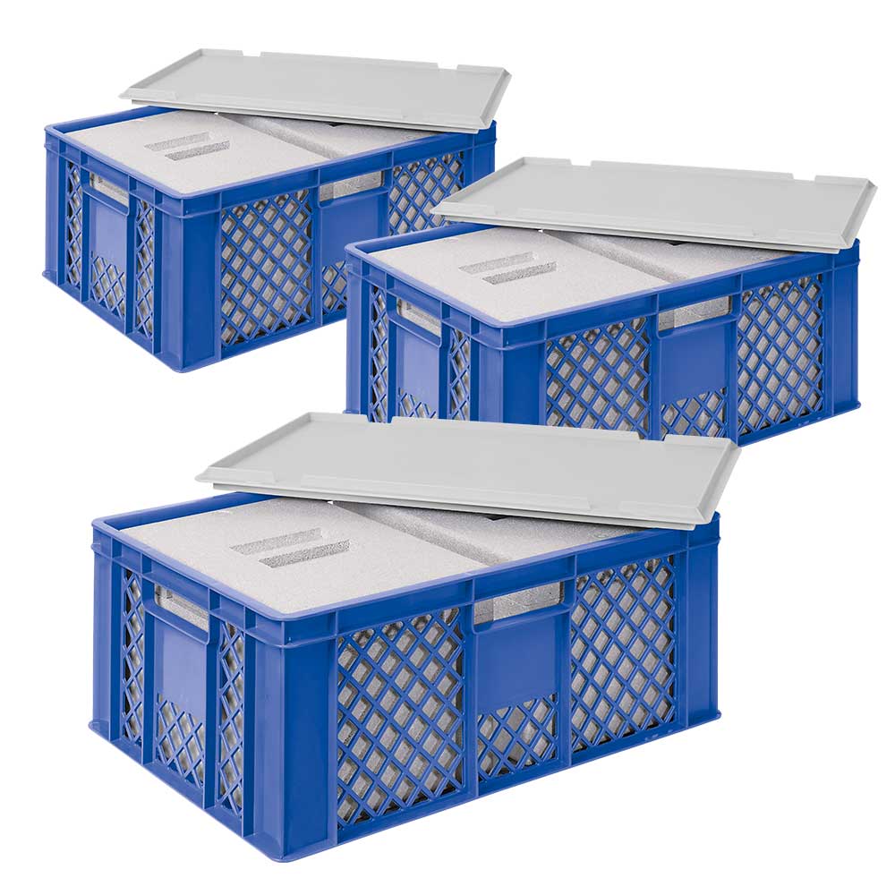 3x 2 EPS-Thermoboxen im Stapelkorb mit Deckel, LxBxH 600x400x240 mm, blauer  Korb, grauer Deckel, Eurobehälter mit EPS / EPP-Isolierbox, Eurobehälter, Behälter und Kästen