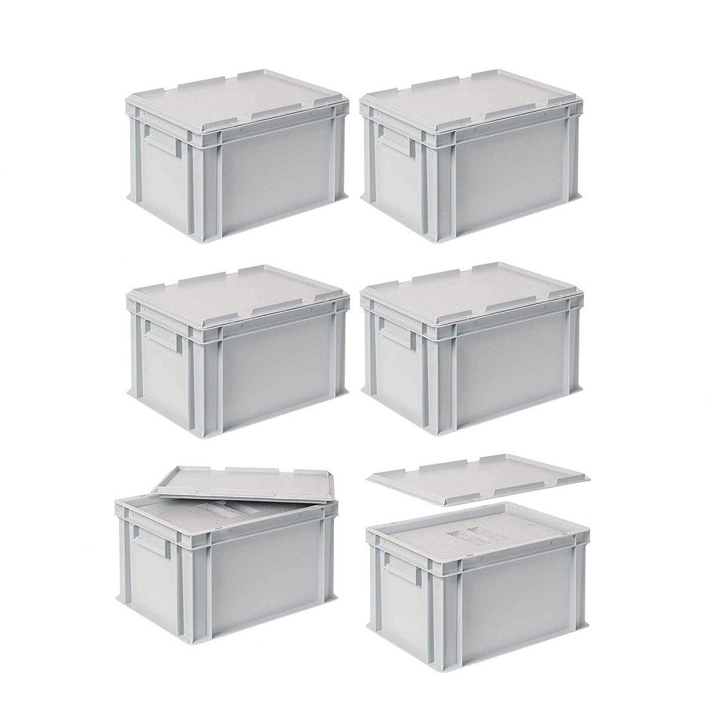 6x EPS-Thermobox in Eurobox mit Deckel, LxBxH 400x300x235 mm, grau, Eurobehälter mit EPS / EPP-Isolierbox, Thermoboxen, Isolier- und  Transportboxen, Behälter und Kästen